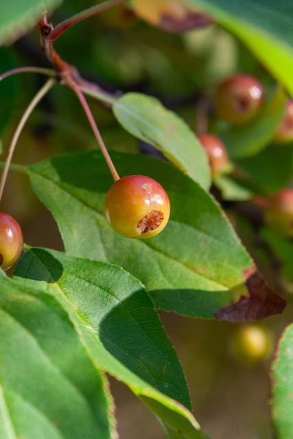 中国女排注 中国女排注
