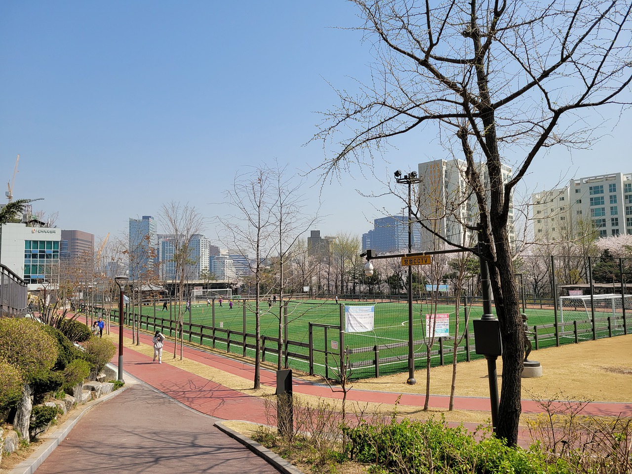 他的视野和 他的视野和