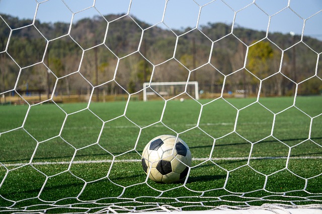 护或轻保护 护或轻保护