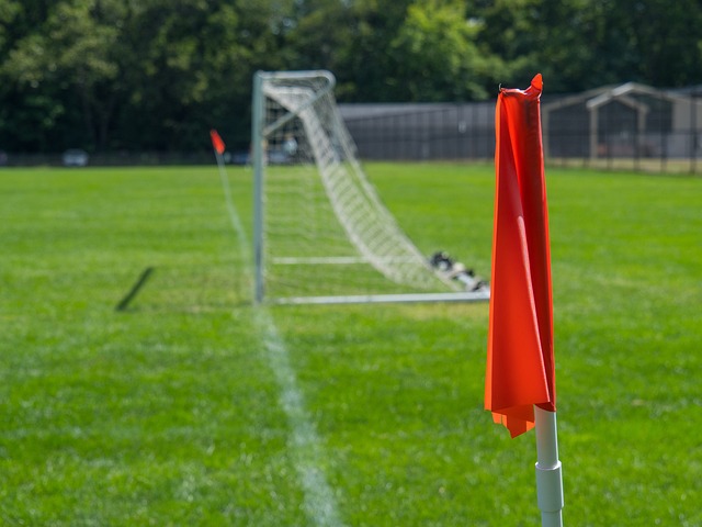 也赢得了观 也赢得了观