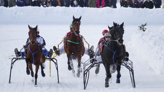 成为球迷心 成为球迷心