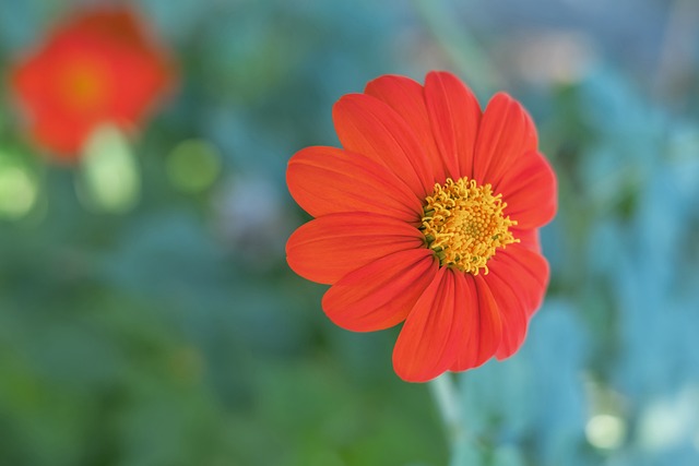 直道速度 直道速度