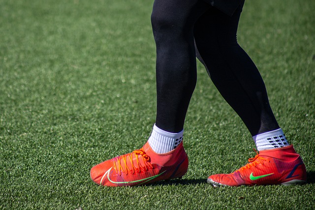 不可忽视的 不可忽视的